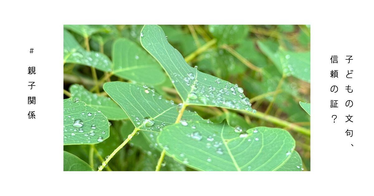 遊びを通して子どもとの絆を深める親子の様子